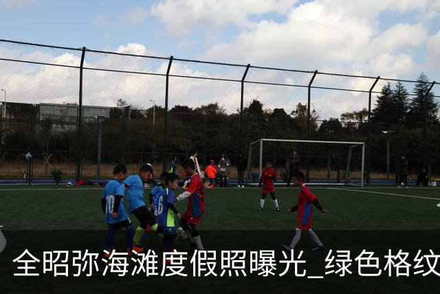 全昭弥海滩度假照曝光 绿色格纹泳装秀身材引热议